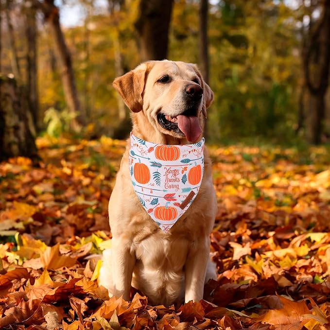 ADOGGYGO Thanksgiving Dog Bandana