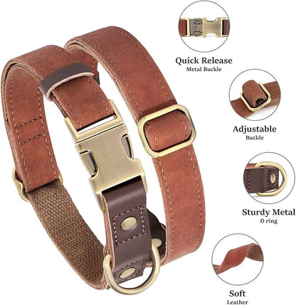 Didog Soft Padded Leather Dog Collars for Small Dogs