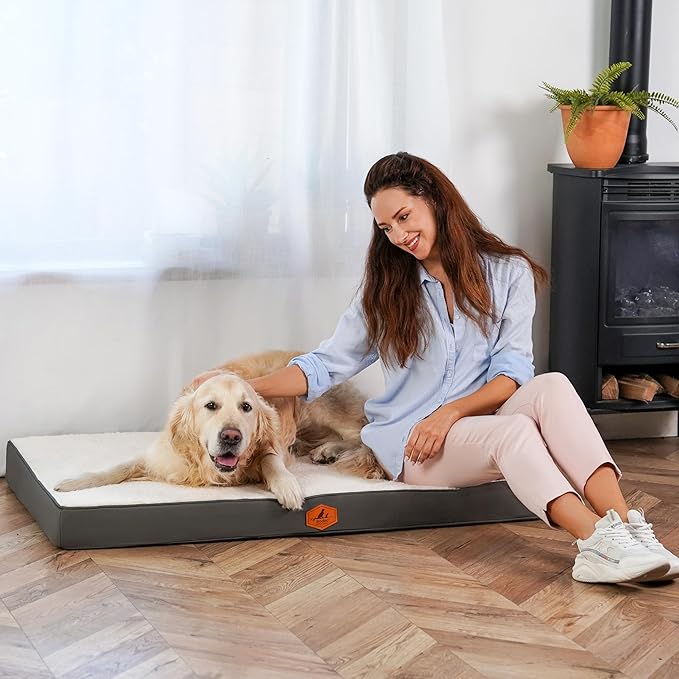 Orthopedic Dog Bed for XL Dogs