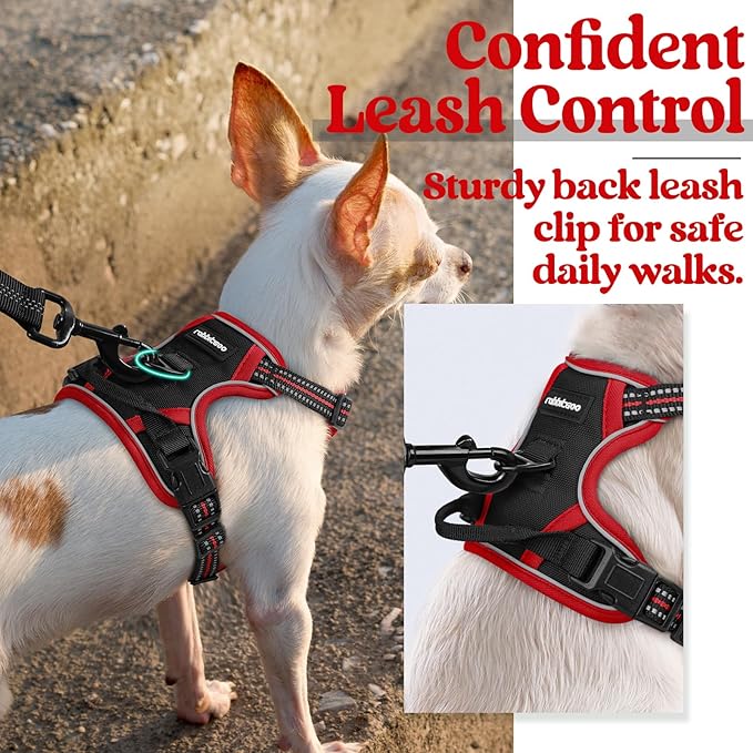 rabbitgoo Dog Harness 2 Leash