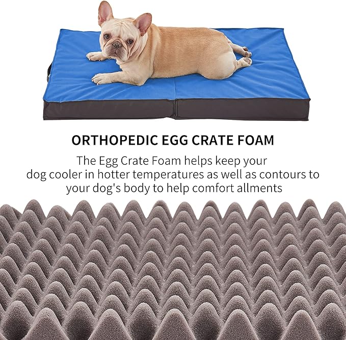 Outdoor Dog Beds for Large Dogs 41inch All