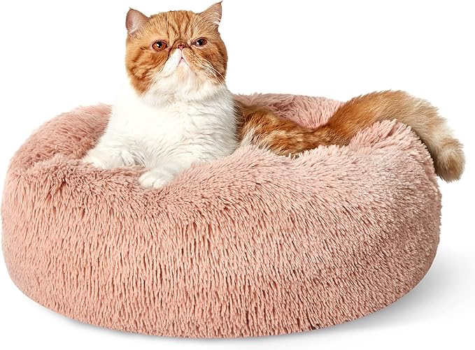Bedsure Calming Cat Beds for Indoor Cats 20 inches, 15 lbs
