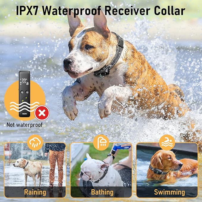 Dog Shock Collar 2 Dogs 3 Training IPX7 Waterproof
