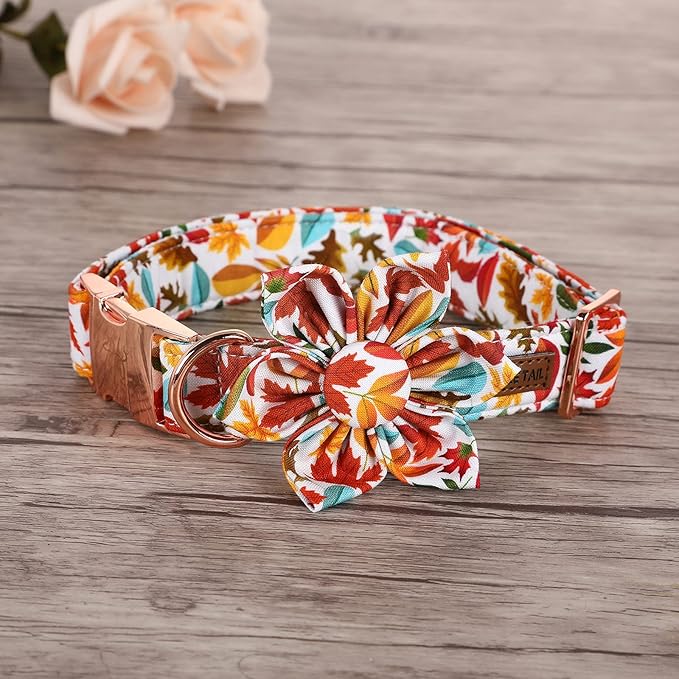 Elegant little tail Flower Dog Collar for Female or Male Dogs