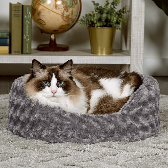 Furhaven Dog Bed for Small Dogs w/ Removable Washable Cover & Pillow Cushion Insert 12 lbs