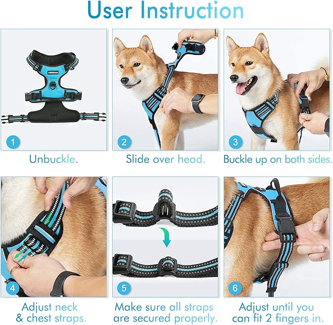 rabbitgoo Dog Harness, No-Pull Pet Harness with 2 Leash Clips, Adjustable Soft Padded Dog Vest, Reflective No-Choke Pet Oxford Vest with Easy Control Handle for Large Dogs, Blue, L