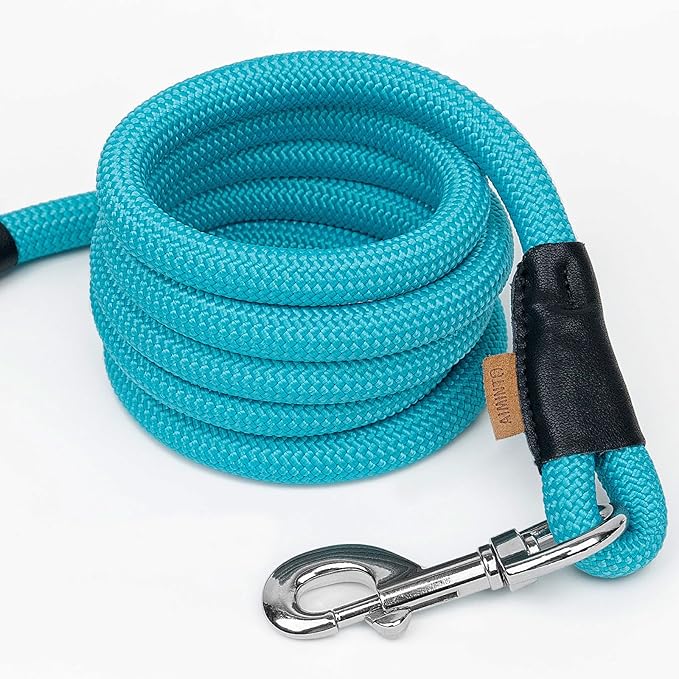 Dog Leash ((1/2") - 6FT, Light