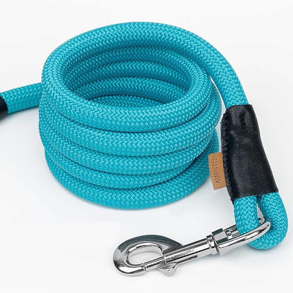 Dog Leash ((1/3") - 6FT, Light