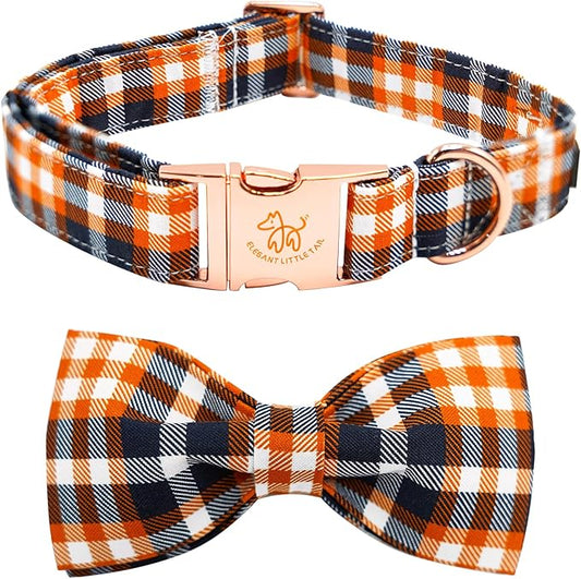 Elegant little tail Fall Dog Collar