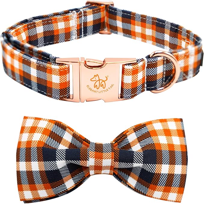 Elegant little tail Fall Dog Collar