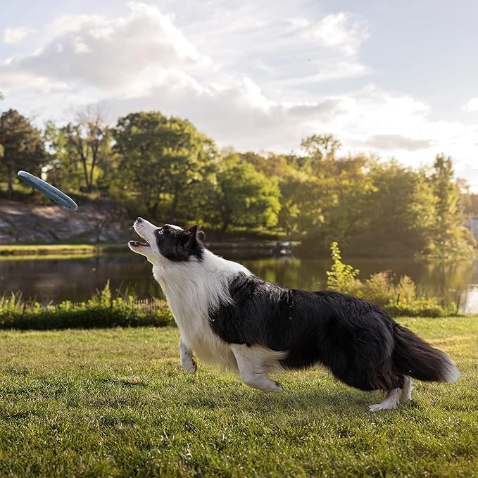 Meadowlark SUV Cargo Liner Dog Seat Covers