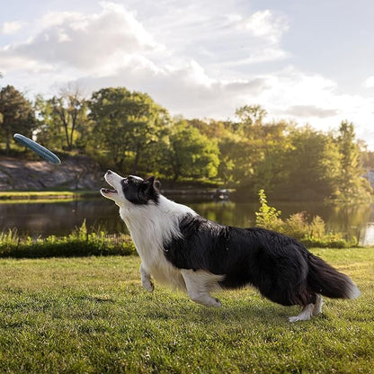 Meadowlark SUV Cargo Liner Dog Seat Covers