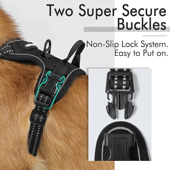 rabbitgoo Dog Harness 2 Leash