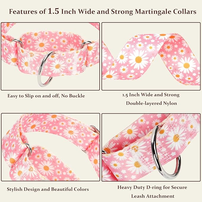 Martingale Collar 1.5 Inches Wide Girl Dog Collar