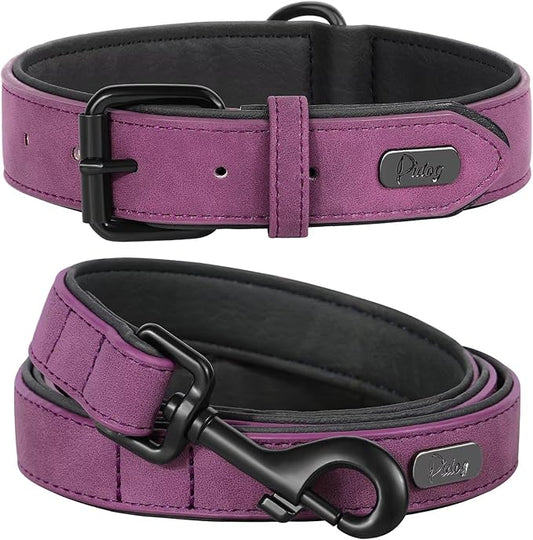 Didog Soft Padded Leather Dog Collar and Leash Set 4FT Leather