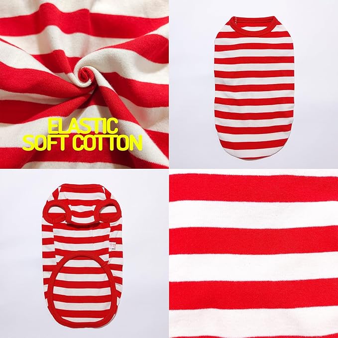 Dachshund Clothes for Dogs Mini and Adults T Shirts (XL