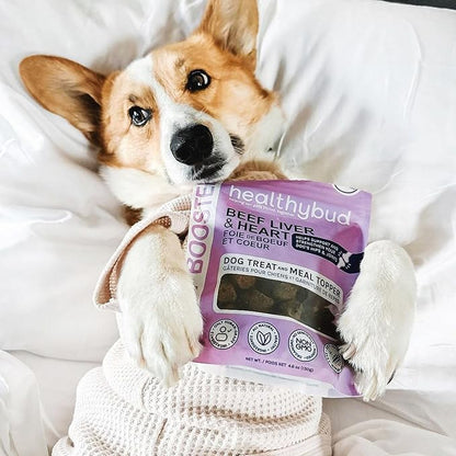 healthybud Hip and Joint Supplement Dog Treats 14.1oz