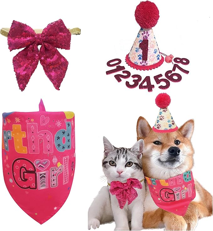 Dog Birthday Party Supplies