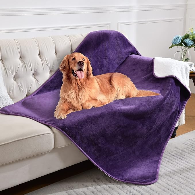 Waterproof Blanket for Bed Couch Sofa, Soft Liquid Pee Proof Pet Blanket for Dog Puppy Cat, Reversible Sherpa Fleece Blanket for Furniture Protector (Dark Purple, 50x60 inches)