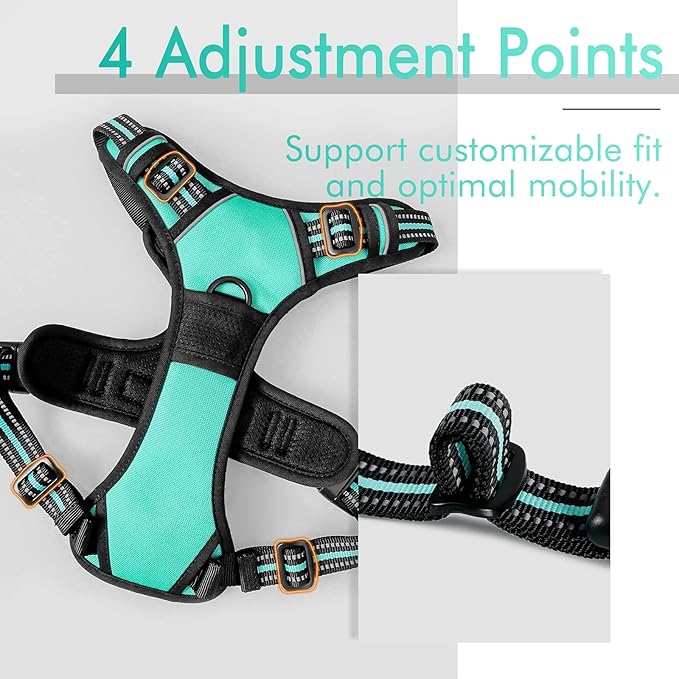 rabbitgoo Dog Harness 2 Leash