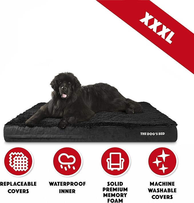 The Dog’s Bed Orthopedic Memory Foam Jumbo Dog Bed 64x44, Pain