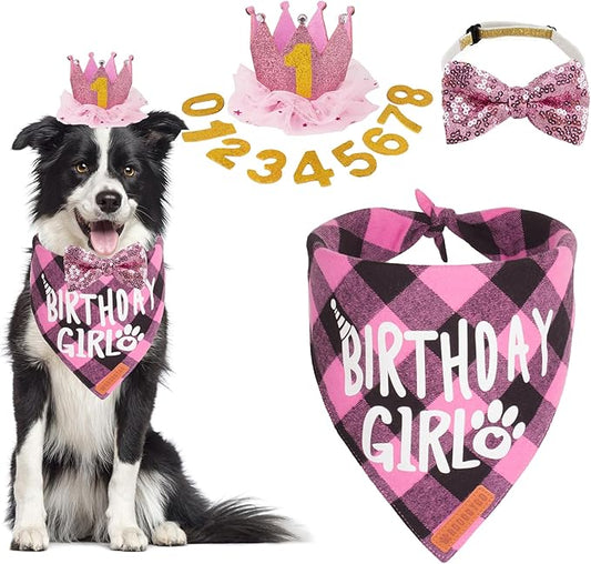 ADOGGYGO Dog Birthday Party Supplies, Multi Size Offered, Birthday Girl Dog Bandana, Dog Birthday Hat Crown with Numbers for Medium Large Dogs Pets (Large, Pink)