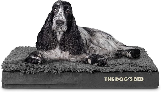 The Dog’s Bed Orthopedic Memory Foam Dog Bed 34x22, Pain