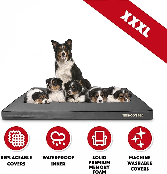 The Dog’s Bed Orthopedic Memory Foam Dog Bed 64x44, Pain