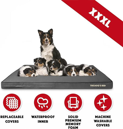The Dog’s Bed Orthopedic Memory Foam Dog Bed 64x44, Pain
