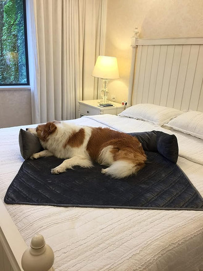 Brilliant Sunshine Premium Grey Silky Velvet Pet Sofa Bed