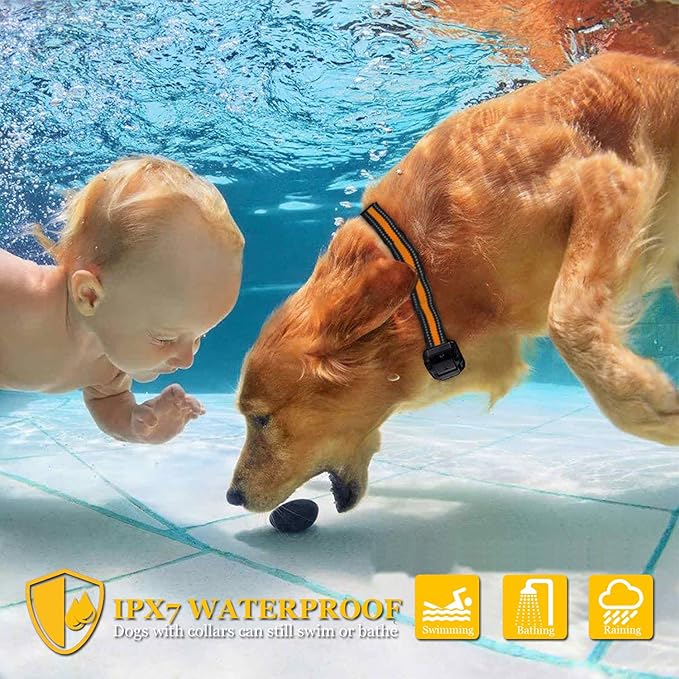 Dog Shock Collar with Remote 1640ft Dog 3 Electronic