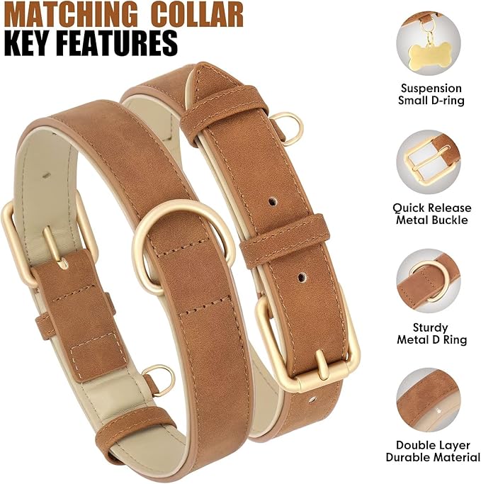 Beirui Soft Padded Leather Dog Collar and Leash Set 4FT Leather