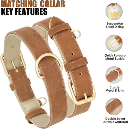 Beirui Soft Padded Leather Dog Collar and Leash Set 4FT Leather
