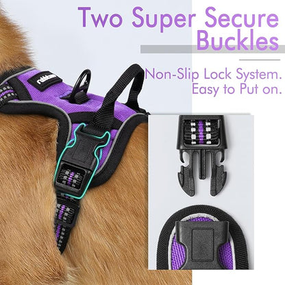 rabbitgoo Dog Harness 2 Leash