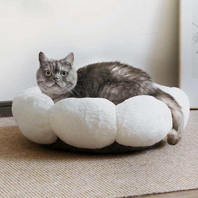 Cat Beds for Indoor Cats, Machine Washable Non-Skid, Fluffy Flower Cat Bed Cute, Anti Anxiety Dog Beds for Toy Size Dogs, 20 * 20 Inches, Cream