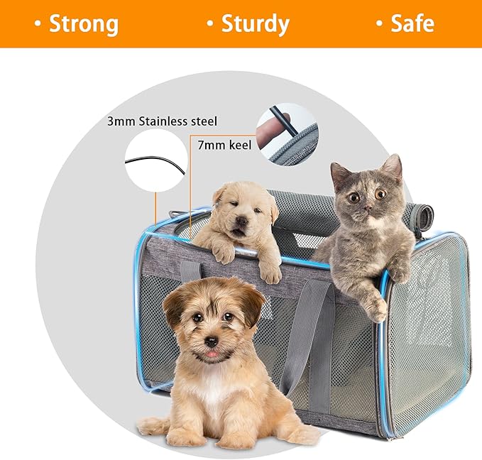 Cat Carrier for 2 Cats - Soft Medium Pet Carrier Bag -Large Dog Carrier for Small Dogs Collapsible Portable, Top Loading Cat Transport Carrier, Dog Flight Carrier Airline Approved