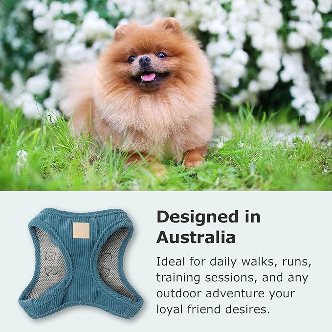 FuzzYard Life Corduroy Step in Dog Harness