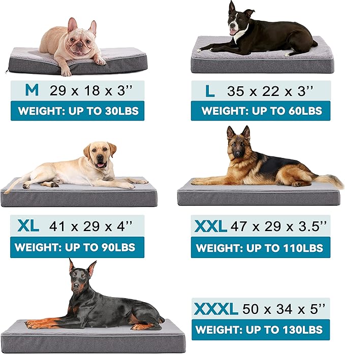 Extra Large Dog Beds for Large Dogs (41’’x 29’’)