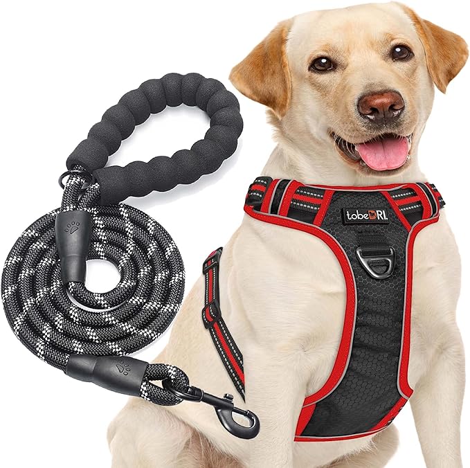 tobeDRI No Pull Dog Harness Adjustable Reflective Oxford Easy Control Medium Large Dog Harness with A Free Heavy Duty 5ft Dog Leash