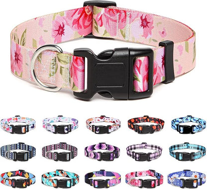 Adjustable Dog Collar with Patterns