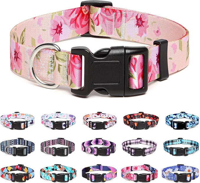 Adjustable Dog Collar with Patterns