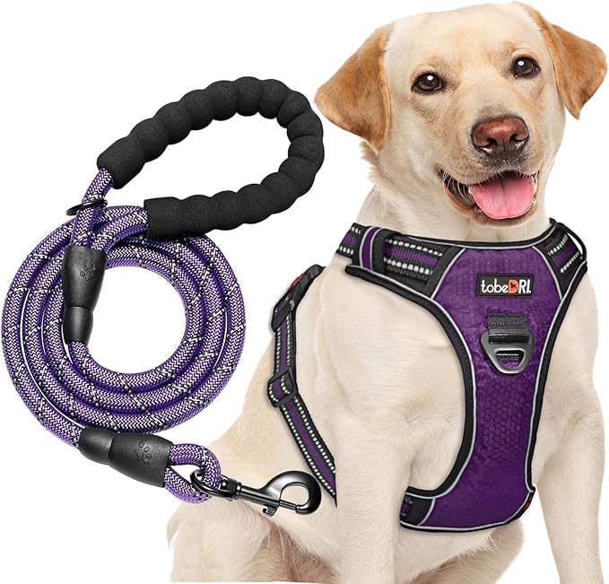 tobeDRI No Pull Dog Harness Adjustable Reflective Oxford Easy Control Medium Large Dog Harness with A Free Heavy Duty 5ft Dog Leash (XL (Neck: 21.5"-33", Chest: 30"-39.5"), Purple Harness+Leash)