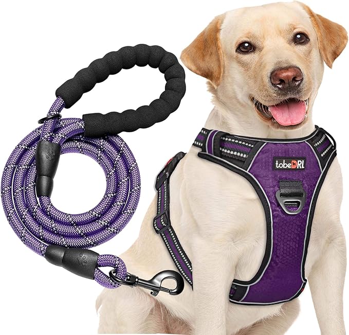 tobeDRI No Pull Dog Harness Adjustable Reflective Oxford Easy Control Medium Large Dog Harness with A Free Heavy Duty 5ft Dog Leash (L (Neck: 18"-25.5" 24.5"-33"), Purple
