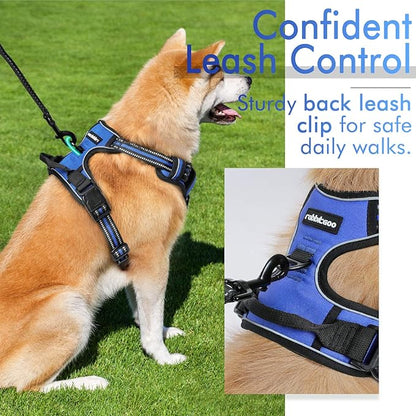 rabbitgoo Dog Harness, No-Pull Pet Harness with 2 Leash Clips, Adjustable Soft Padded Dog Vest, Reflective No-Choke Pet Oxford Vest with Easy Control Handle for Small Dogs, Dazzling Blue, S