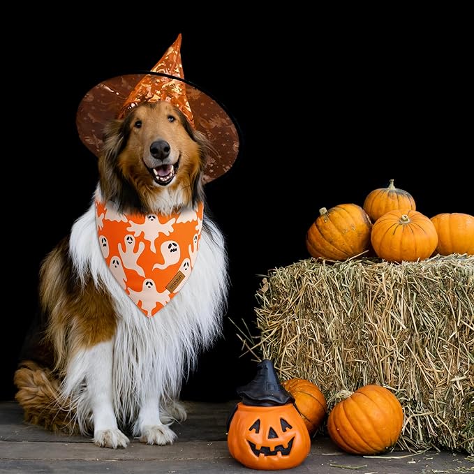 Halloween Dog Bandanas - 2 Pack Fall Dog Bibs | Reversible Pumpkin and Ghost Pet Scarf for Boys and Girls | Premium Durable Fabric | Orange Dog Bandana for Small and Medium Dogs (Small)