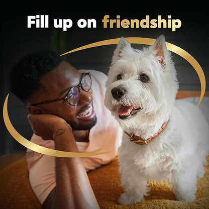 CESAR Adult Small Breed Dry Dog Food Rotisserie Chicken Flavor with Spring Vegetables Garnish, 5 lb. Bag