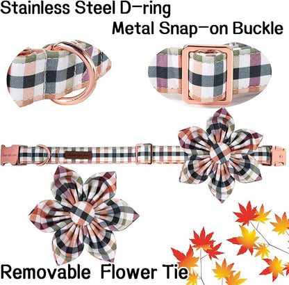 Unique Style Paws Cotton Dog Collar with Bow