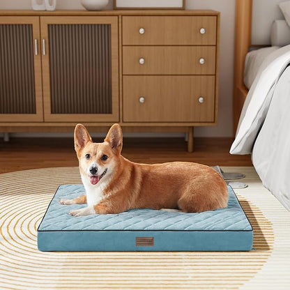 SunStyle Home Orthopedic Dog Beds for Medium Dogs