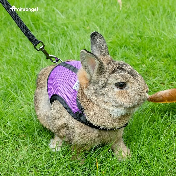 Niteangel Adjustable Soft Harness with Elastic Leash for Rabbits (S, Grey)