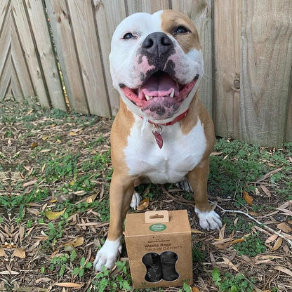 Best Pet Supplies Dog Poop Bags (240 Bags) for Waste Refuse Cleanup